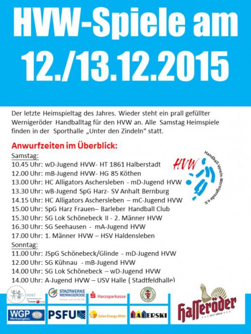 Wernigeröder Handballtag am 12.12.15